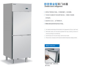 保鲜冷藏新选择 冰神欧式黄金版两门冰柜豪华版